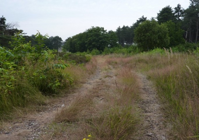 duinen